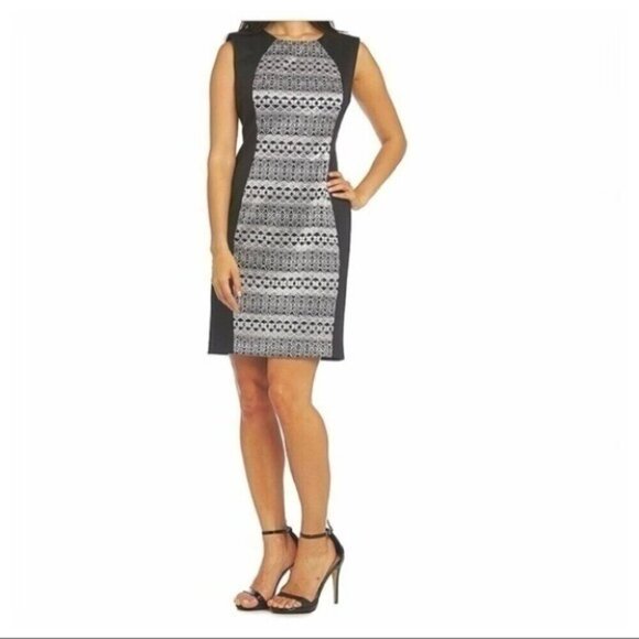 R & M Richards Dresses & Skirts - SIZE 10 ~R&M Richards Lace Panel Stealth Cocktail Dress